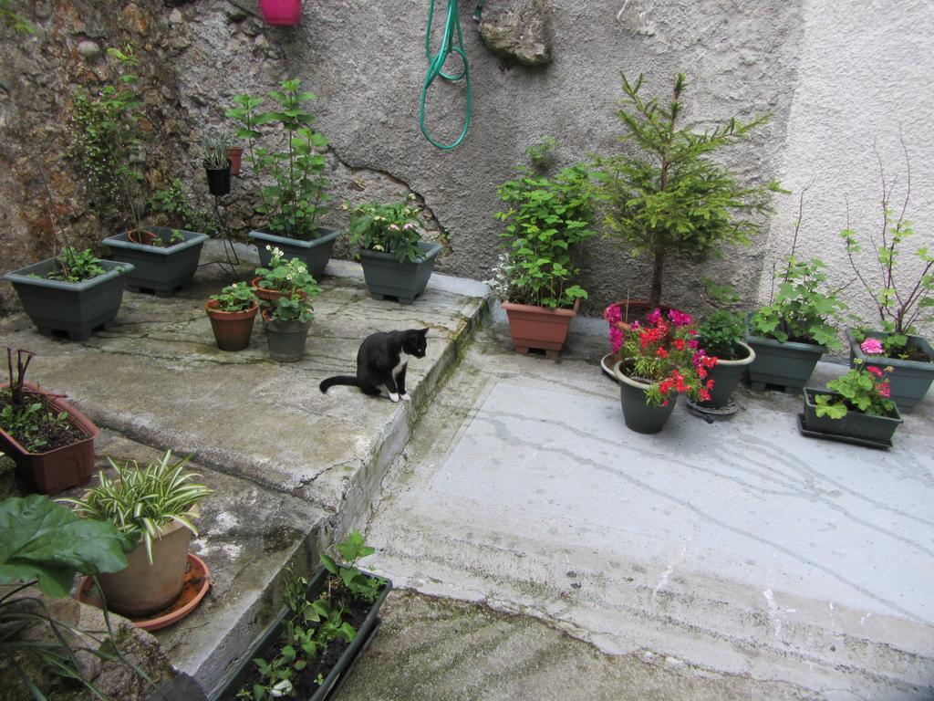 La Maison De Natasha Castillon-en-Couserans Bagian luar foto